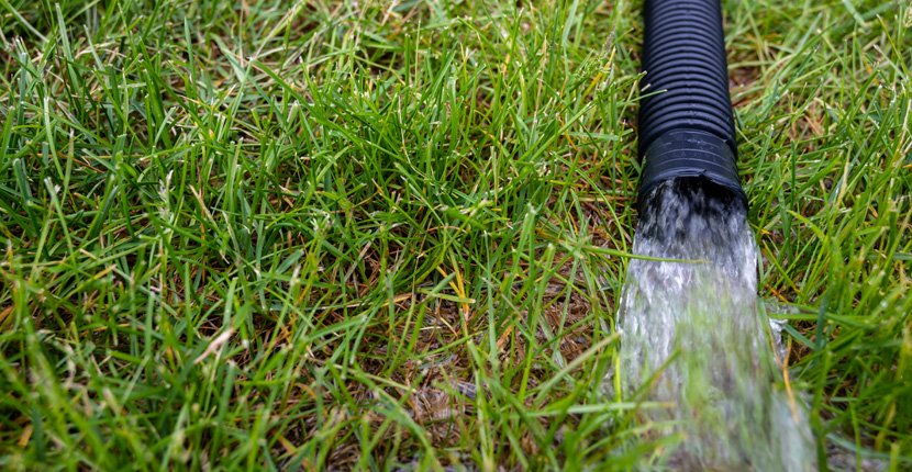 Sump pump drainage hose in the yard